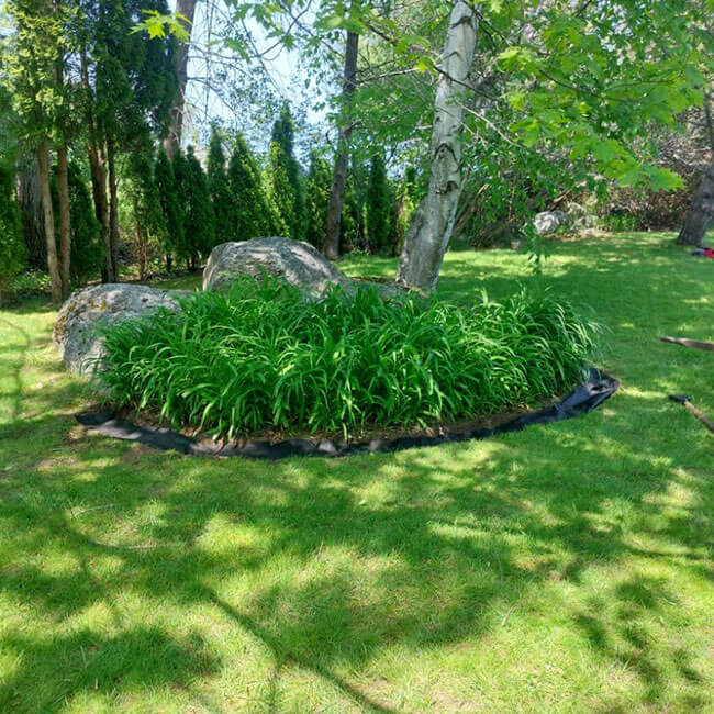 Landscaping