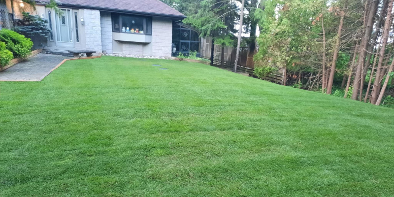 Lawn Care in Collingwood, Ontario